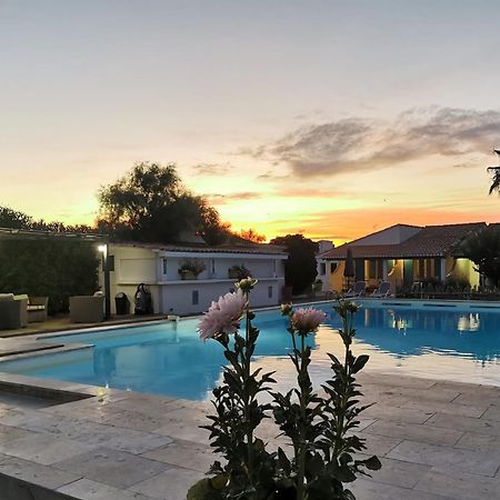 L'Auberge Camarguaise Сен Мари де ла Мер Екстериор снимка