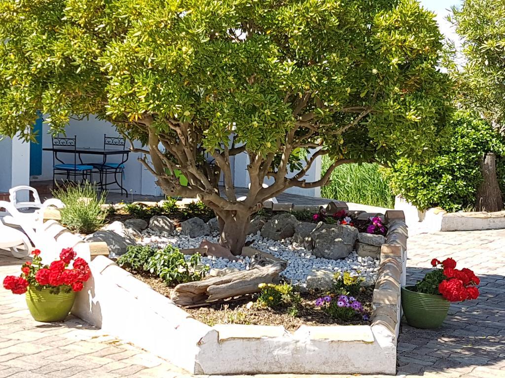 L'Auberge Camarguaise Сен Мари де ла Мер Екстериор снимка